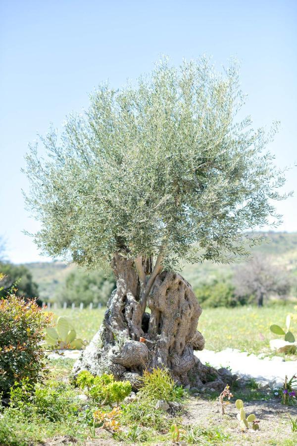 Luccicamare Family-Run Beb Bed & Breakfast Noto Dış mekan fotoğraf